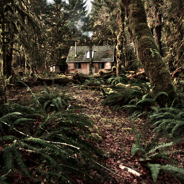 Cabin-in-the-Woods