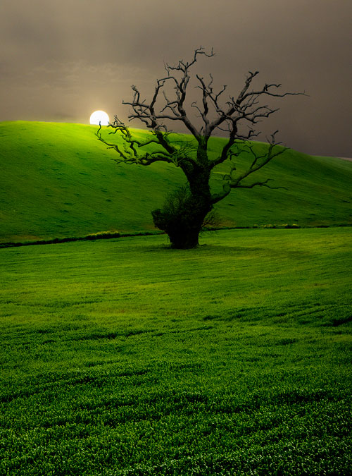 Campo-Andaluz-Andalusian-Countryside