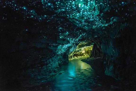 Glow-worm-cave-new-zealand