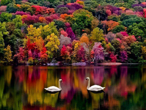 Autumn-in-New-Hampshire-USA-620x465.jpg