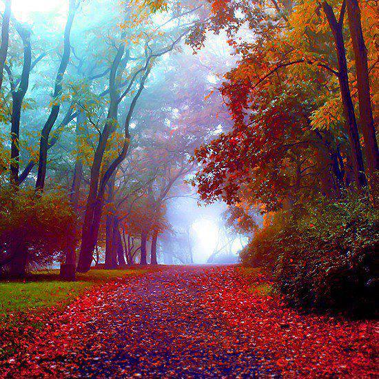 Image%20result%20for%20beautiful%20autumn%20around%20the%20world