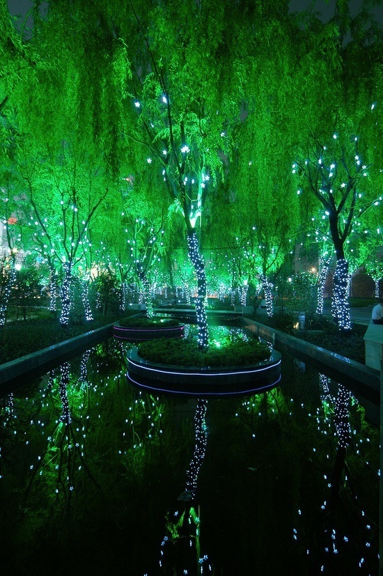 Magic Forest in Shanghai