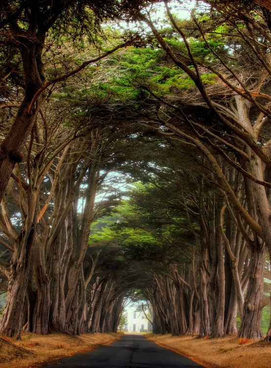 Point Reyes National Seashore, California (1)