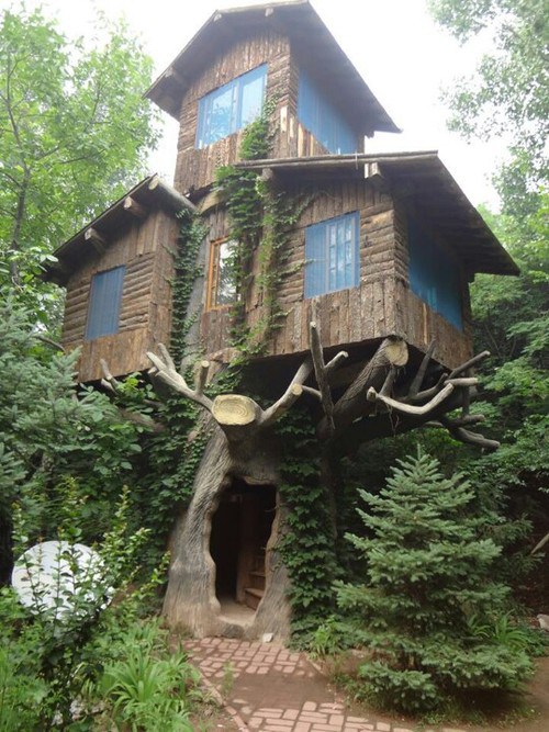 Tree House, Marin, California