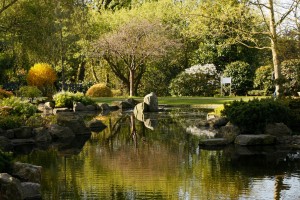 Kyoto Gardens, Holland Park, Picnic in London, UK