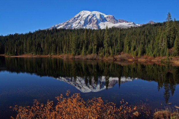 Mount Rainier, Washington, USA 1