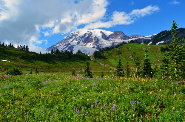 Mount Rainier, Washington, USA 2