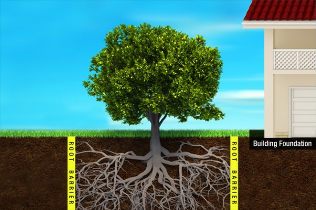  root barrier IMAGE 