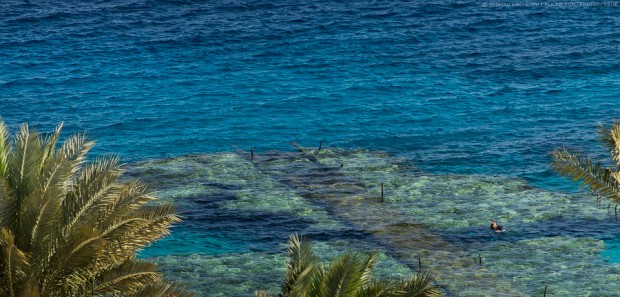 Continental Garden Reef Resort, Sharm El Sheikh, Egypt