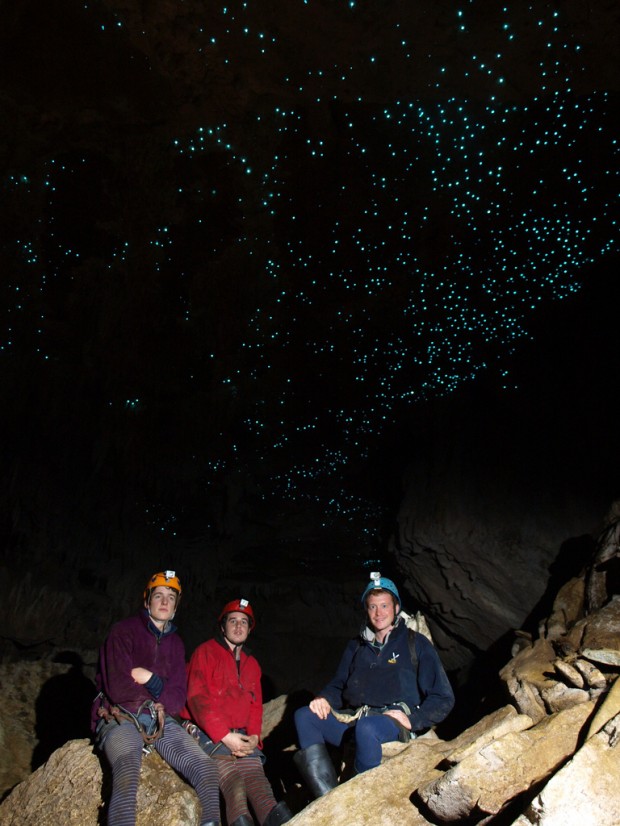 Glowworm Cave Waitomo (5)
