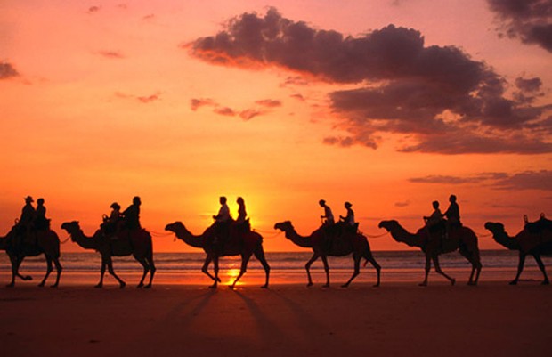 camel safari in Riviera Sharm Village