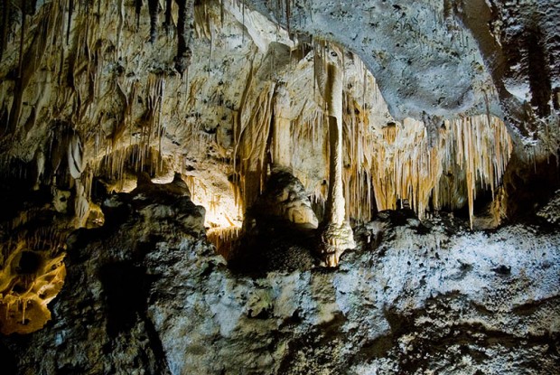  Carlsbad Caverns (7) 