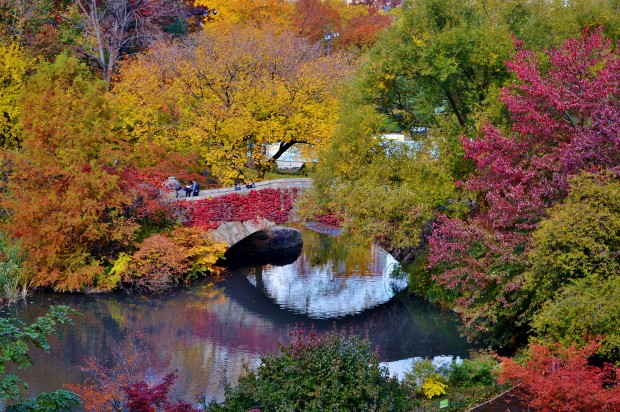 Gapstow Bridge, Central Park, New York, USA 2