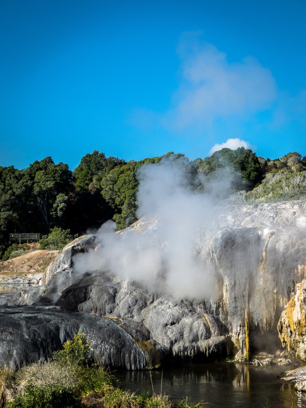 Geothermal area in Rotorua, New Zealand (1)