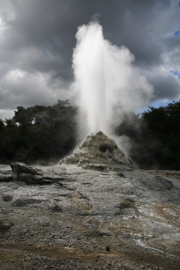 Geothermal area inRotorua, New Zealand (4)