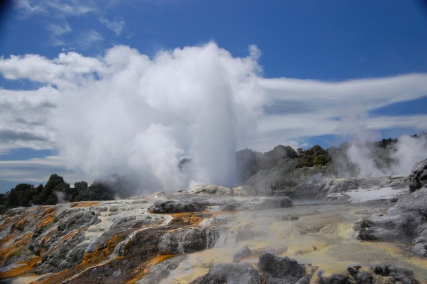 Geothermal area inRotorua, New Zealand (5)