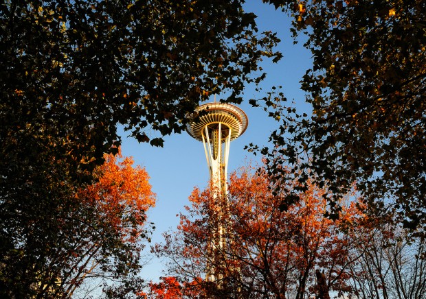 Space Needle, Seattle, Washington, USA 2