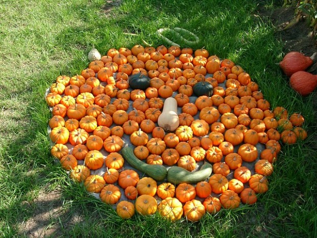 Pumpkin Decoration (5) 