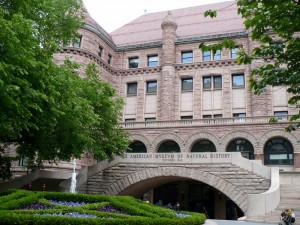 American Museum of Natural History, NYC