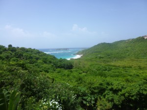 Mystique Iceland ( 3)