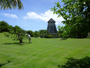 Mystique Iceland (4)