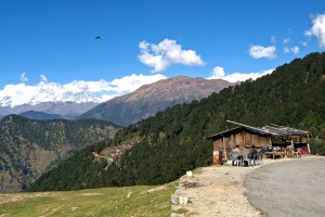 Chopta, Uttarkhand, India