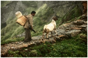 Munsiyari, Uttarakhand, India