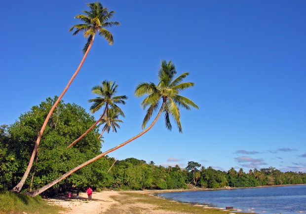 Vanuatu (6)