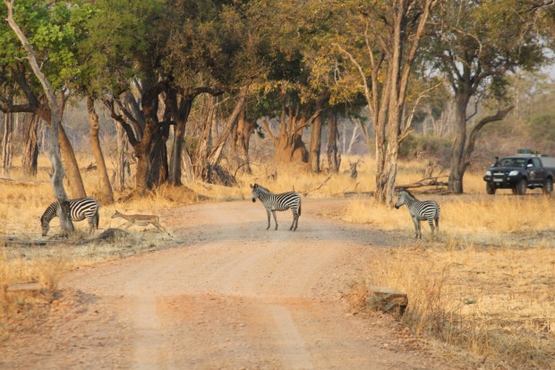 Zambia, Africa