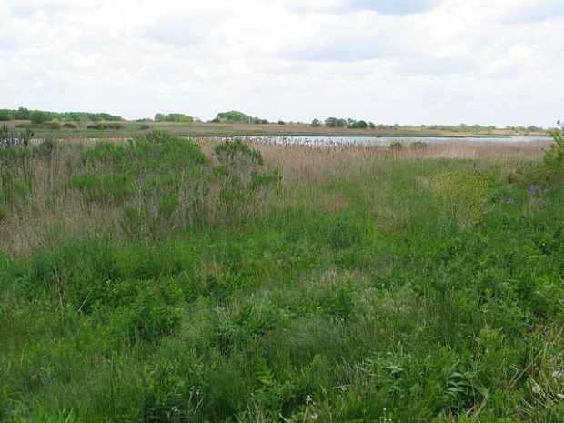 8 Awesome Places to Go Kayaking in New York