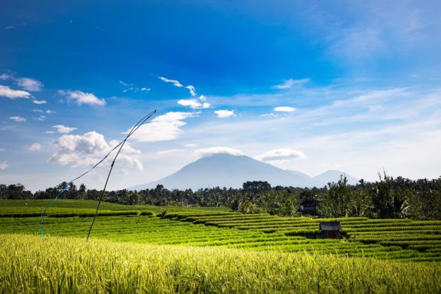 Why You Should Visit Bali Right Now