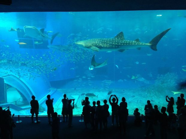 Taking Your Kids to Las Vegas? Here’s 4 Perfect Attractions for Families