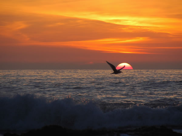 40 50 Stunning Sunset And Sunrise Photos