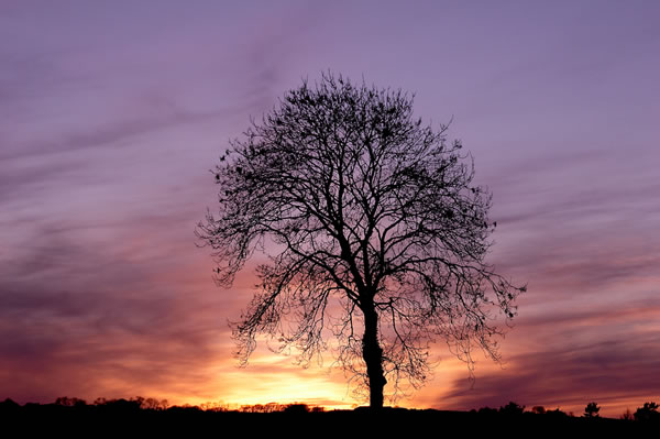 44 50 Stunning Sunset And Sunrise Photos