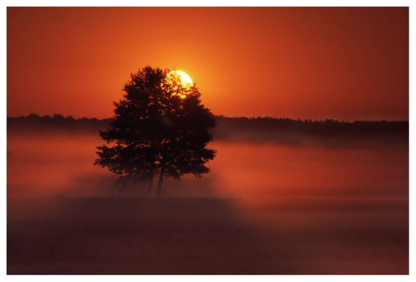 61 50 Stunning Sunset And Sunrise Photos