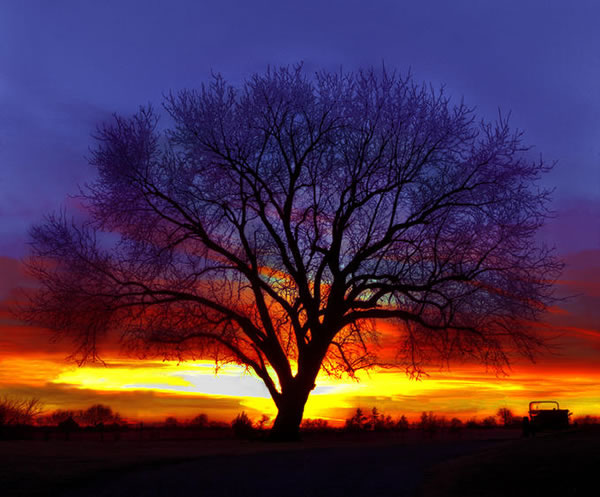 81 50 Stunning Sunset And Sunrise Photos