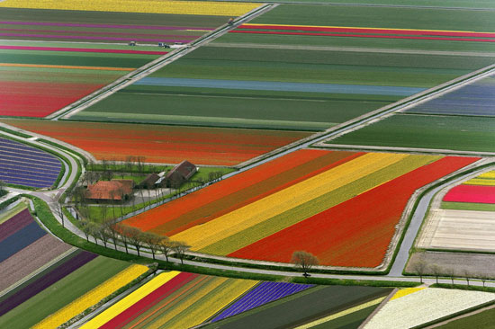 Amsterdam-The-Netherlands 40 Incredible Photos of Breathtaking Places