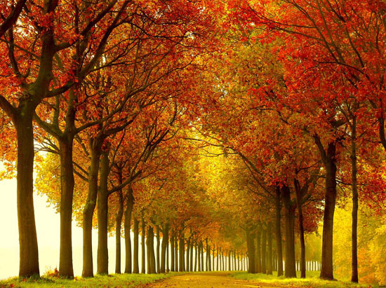 Autumn-so-Full 40 Incredible Photos of Breathtaking Places