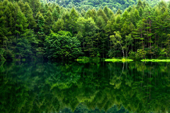 Nagano-Japan 40 Incredible Photos of Breathtaking Places