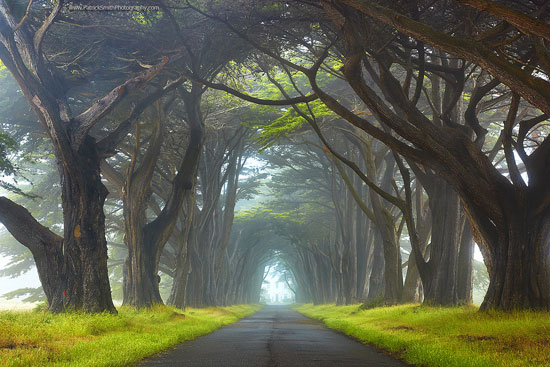 Point-Reyes-National-Seashore-California 40 Incredible Photos of Breathtaking Places