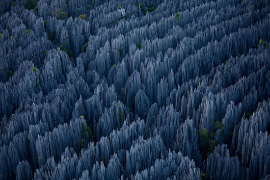 Stone-Forest-in-Madagascar 40 Incredible Photos of Breathtaking Places