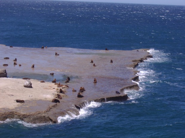 Valdes-peninsula-3-620x465 5 Places You Must Visit in Argentina