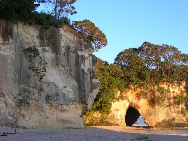 cathedral cove (1)