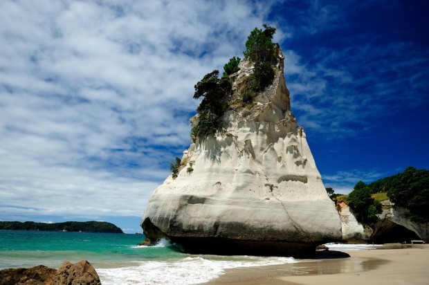 cathedral cove (3)