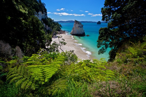 Cathedral Cove, New Zealand