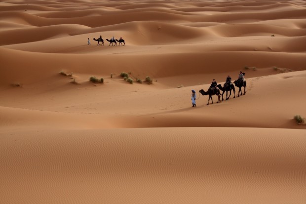 Sahara, North Africa