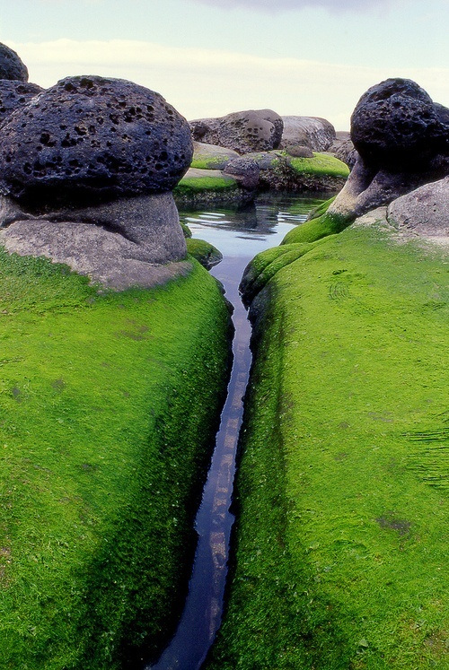 Mossy-Inlet-Iceland
