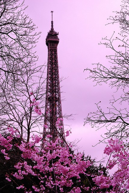 Paris-in-bloom
