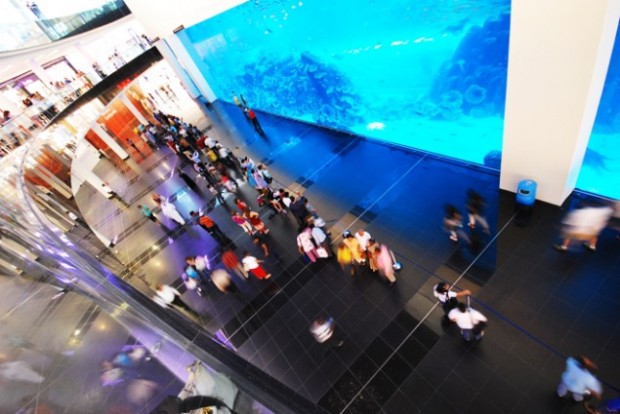 Underwater Zoo And Aquarium In The World’s Largest Shopping Mall @ Dubai 