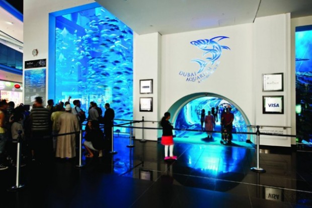 Underwater Zoo And Aquarium In The World’s Largest Shopping Mall @ Dubai 